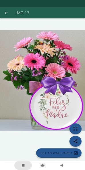 Run android online APK Flores para mamá from MyAndroid or emulate Flores para mamá using MyAndroid Run android online APK Flores para mamá from MyAndroid or emulate Flores para mamá using MyAndroid