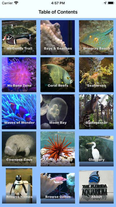 Run android online APK Florida Aquarium Guide from MyAndroid or emulate Florida Aquarium Guide using MyAndroid