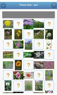 Emulate Android APK Flower beds - quiz Emulate Android APK Flower beds - quiz