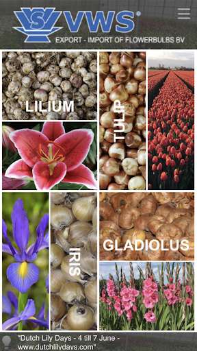 Emulate Android APK Flower Bulb Pics and Info 5 Emulate Android APK Flower Bulb Pics and Info 5