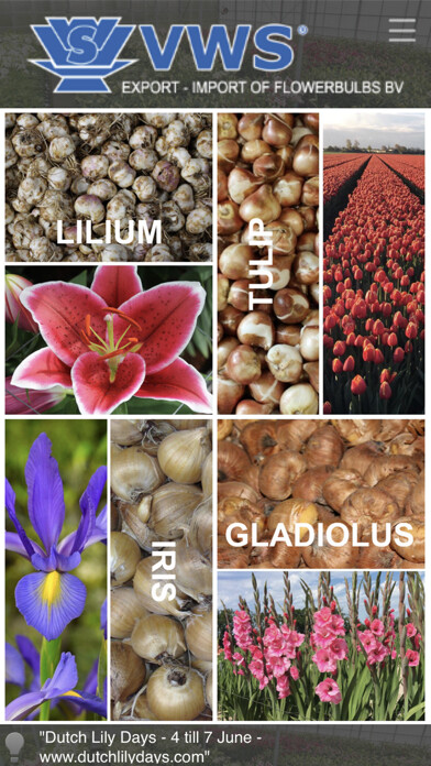 Emulate iPhone app Flower Bulb Pics and Info using MyAndroid
