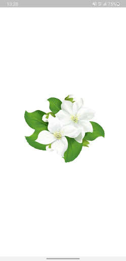 Run android online APK Flower Choicer from MyAndroid or emulate Flower Choicer using MyAndroid
