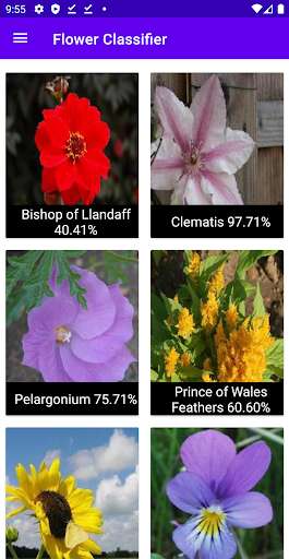 Run android online APK Flower Classifier from MyAndroid or emulate Flower Classifier using MyAndroid