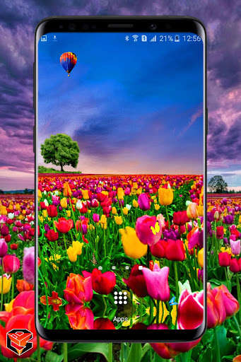Run android online APK Flower Fields Live Wallpaper from MyAndroid or emulate Flower Fields Live Wallpaper using MyAndroid Run android online APK Flower Fields Live Wallpaper from MyAndroid or emulate Flower Fields Live Wallpaper using MyAndroid