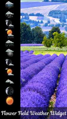 Emulate Android APK Flower Field Weather Widget