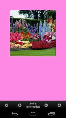 Emulate Android APK Flower Garden Plants Ideas