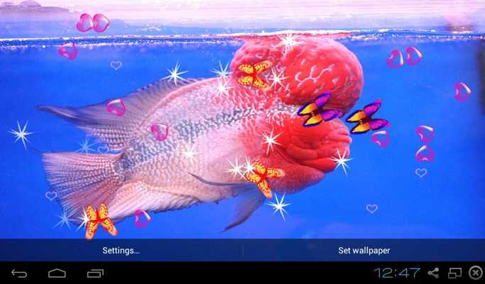 Emulate Android APK Flowerhorn Cichlid Live Wallpaper Emulate Android APK Flowerhorn Cichlid Live Wallpaper