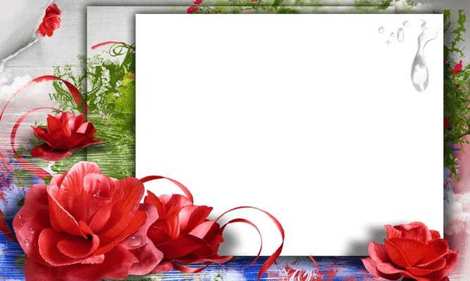 Emulate Android APK Flower Photo Frames LWP Emulate Android APK Flower Photo Frames LWP