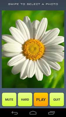 Emulate Android APK Flower Photo Puzzle Emulate Android APK Flower Photo Puzzle