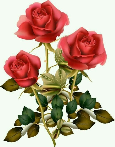 Run android online APK Flower Rose Animated Image Gif from MyAndroid or emulate Flower Rose Animated Image Gif using MyAndroid Run android online APK Flower Rose Animated Image Gif from MyAndroid or emulate Flower Rose Animated Image Gif using MyAndroid