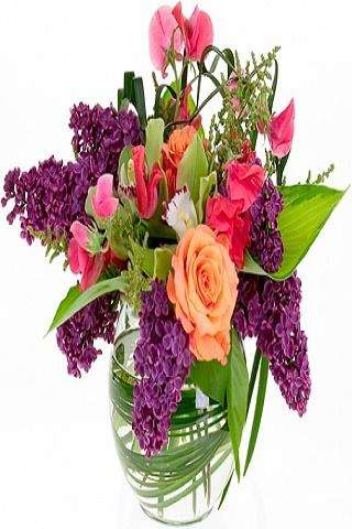 Run android online APK Flowers 2 from MyAndroid or emulate Flowers 2 using MyAndroid