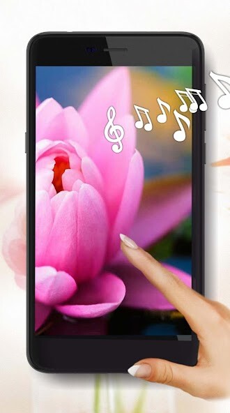 Run android online APK Flowers Amazing from MyAndroid or emulate Flowers Amazing using MyAndroid