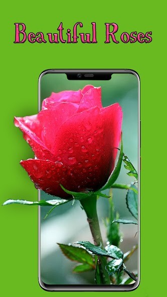 Run android online APK flowers Background Hd from MyAndroid or emulate flowers Background Hd using MyAndroid Run android online APK flowers Background Hd from MyAndroid or emulate flowers Background Hd using MyAndroid