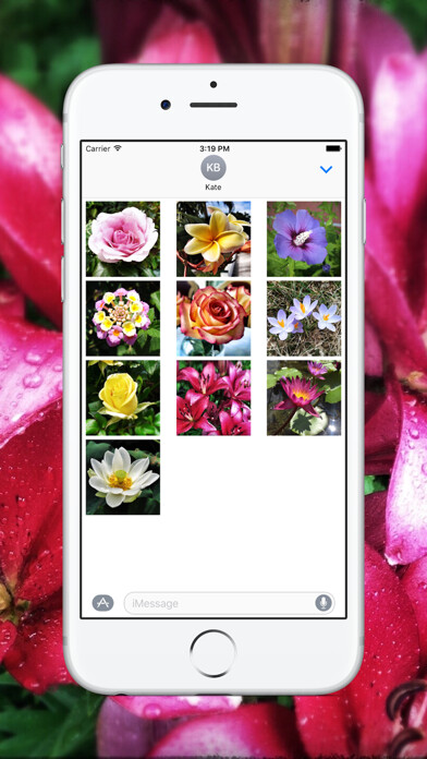 Emulate iPhone app Flowers by Selim using MyAndroid Emulate iPhone app Flowers by Selim using MyAndroid