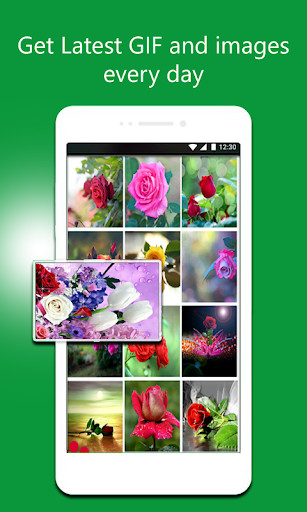 Run android online APK Flowers GIF Collection from MyAndroid or emulate Flowers GIF Collection using MyAndroid Run android online APK Flowers GIF Collection from MyAndroid or emulate Flowers GIF Collection using MyAndroid