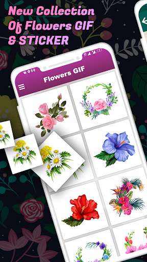 Run android online APK Flowers GIF : Flower Stickers For Whatsapp from MyAndroid or emulate Flowers GIF : Flower Stickers For Whatsapp using MyAndroid Run android online APK Flowers GIF : Flower Stickers For Whatsapp from MyAndroid or emulate Flowers GIF : Flower Stickers For Whatsapp using MyAndroid