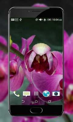 Emulate Android APK Flowers HD Live Wallpaper Emulate Android APK Flowers HD Live Wallpaper