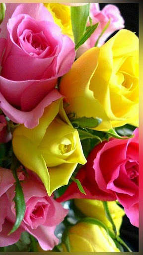 Run android online APK Flowers Images from MyAndroid or emulate Flowers Images using MyAndroid