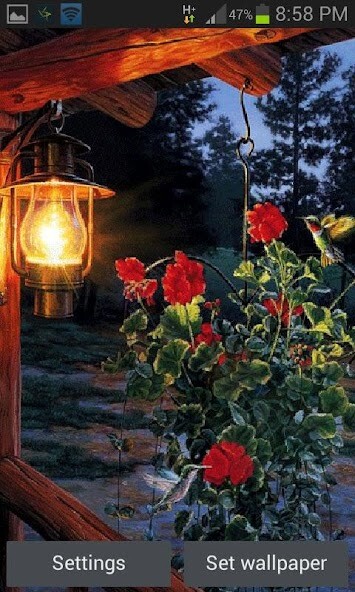 Emulate Android APK Flowers In Night LWP