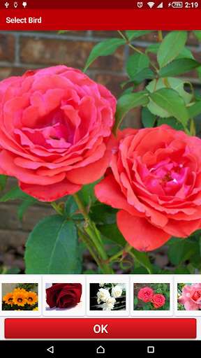 Emulate Android APK Flowers Live Wallpaper FREE Emulate Android APK Flowers Live Wallpaper FREE