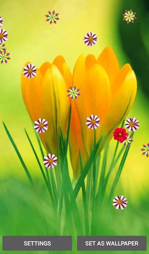 Run android online APK Flowers Live Wallpapers from MyAndroid or emulate Flowers Live Wallpapers using MyAndroid Run android online APK Flowers Live Wallpapers from MyAndroid or emulate Flowers Live Wallpapers using MyAndroid