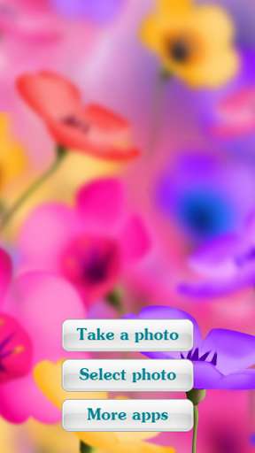 Run android online APK Flowers Photo Frames 2 from MyAndroid or emulate Flowers Photo Frames 2 using MyAndroid