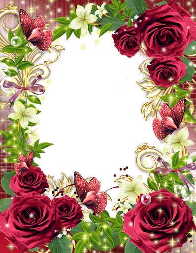 Emulate Android APK Flowers Photo Frames HD Emulate Android APK Flowers Photo Frames HD