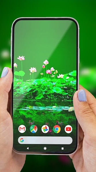 Run android online APK Flowers Plants In Water from MyAndroid or emulate Flowers Plants In Water using MyAndroid