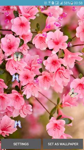 Run android online APK Flower Spring Live Wallpapers from MyAndroid or emulate Flower Spring Live Wallpapers using MyAndroid Run android online APK Flower Spring Live Wallpapers from MyAndroid or emulate Flower Spring Live Wallpapers using MyAndroid