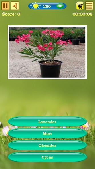 Run android online APK Flowers Quiz from MyAndroid or emulate Flowers Quiz using MyAndroid