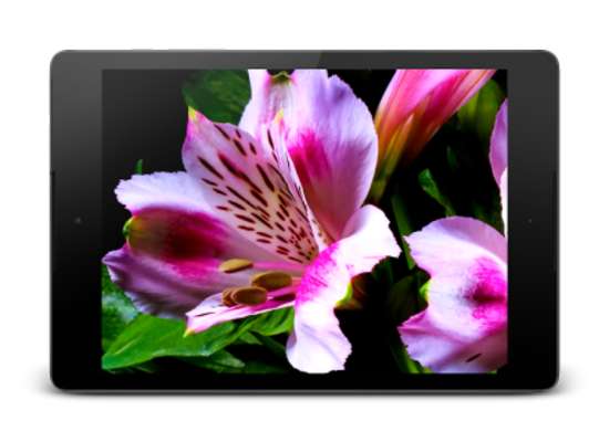 Emulate Android APK Flowers Video Wallpaper
