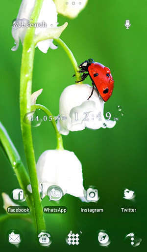 Emulate Android APK Flower Theme Ladybug Flower