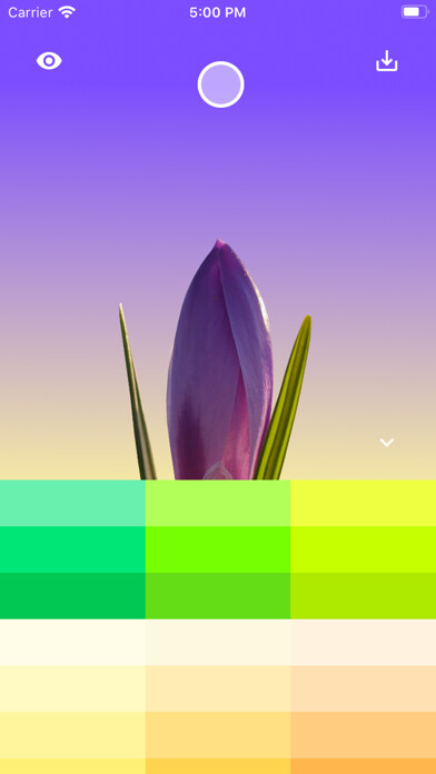Emulate iPhone app Flower Wallpaper Maker using MyAndroid