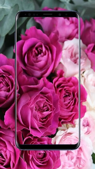 Run android online APK Flower Wallpapers and Background from MyAndroid or emulate Flower Wallpapers and Background using MyAndroid
