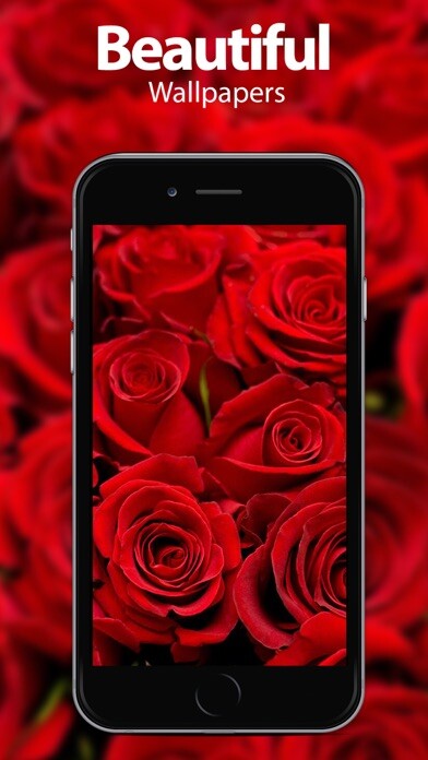 Emulate iPhone app Flower Wallpapers & Themes using MyAndroid Emulate iPhone app Flower Wallpapers & Themes using MyAndroid