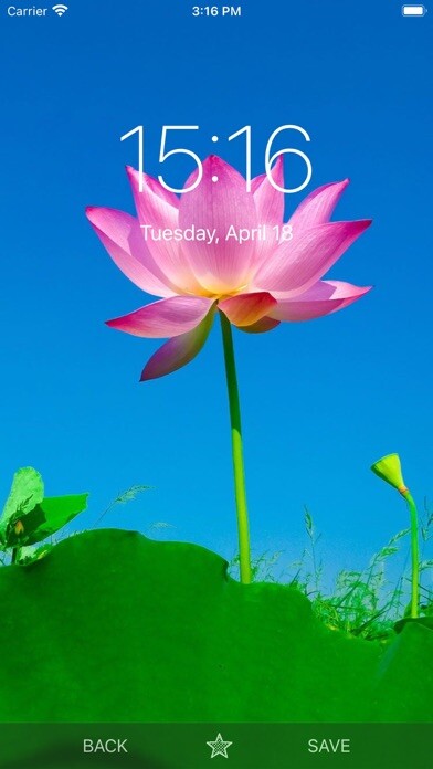 Emulate iPhone app Flower Wallpaper Wallpapers using MyAndroid Emulate iPhone app Flower Wallpaper Wallpapers using MyAndroid