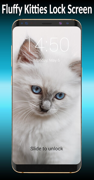 Run android online APK Fluffy Kitties Lock Screen from MyAndroid or emulate Fluffy Kitties Lock Screen using MyAndroid