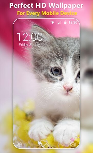 Run android online APK Fluffy Kitty Live Wallpaper HD from MyAndroid or emulate Fluffy Kitty Live Wallpaper HD using MyAndroid