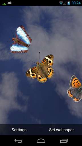 Run android online APK Flying Bugs Live Wallpaper from MyAndroid or emulate Flying Bugs Live Wallpaper using MyAndroid