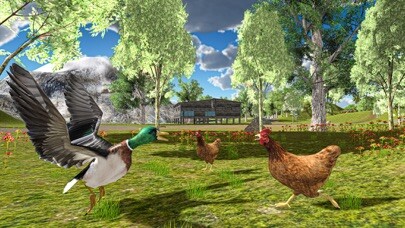 Emulate iPhone app Flying Duck Life Simulator using MyAndroid