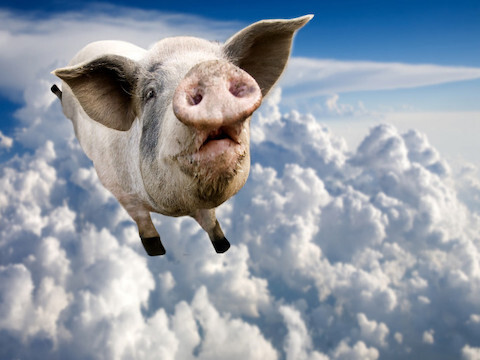 Emulate Android APK Flying Pig Emulate Android APK Flying Pig