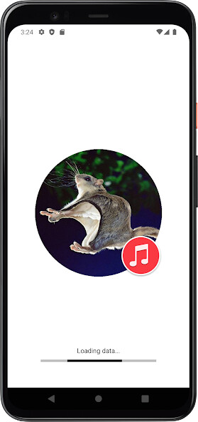Run android online APK Flying Squirrel Sounds from MyAndroid or emulate Flying Squirrel Sounds using MyAndroid Run android online APK Flying Squirrel Sounds from MyAndroid or emulate Flying Squirrel Sounds using MyAndroid
