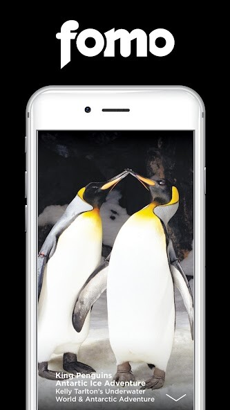 Run android online APK FOMO Guide Auckland from MyAndroid or emulate FOMO Guide Auckland using MyAndroid Run android online APK FOMO Guide Auckland from MyAndroid or emulate FOMO Guide Auckland using MyAndroid