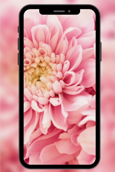Run android online APK Fondos de Pantalla con Flores from MyAndroid or emulate Fondos de Pantalla con Flores using MyAndroid
