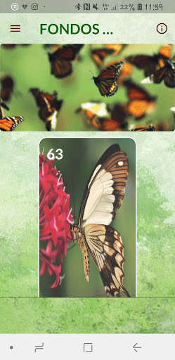 Run android online APK Fondos Pantalla Mariposas from MyAndroid or emulate Fondos Pantalla Mariposas using MyAndroid