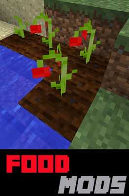 Emulate Android APK Food MODS List For MCPE Emulate Android APK Food MODS List For MCPE