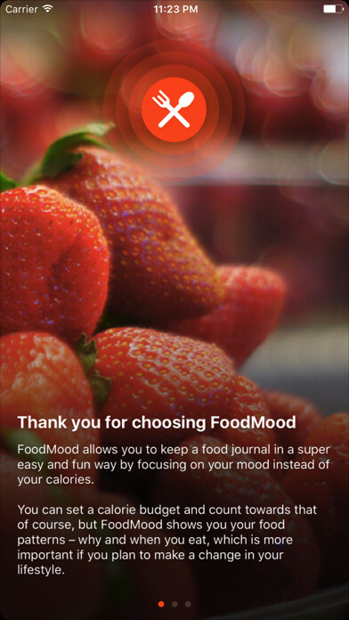 Emulate iPhone app FoodMood using MyAndroid