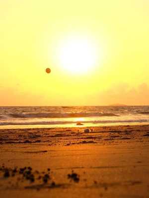 Emulate Android APK Football Soccer Wallpapers Emulate Android APK Football Soccer Wallpapers