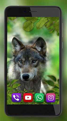 Run android online APK Forest Animals Live Wallpaper from MyAndroid or emulate Forest Animals Live Wallpaper using MyAndroid