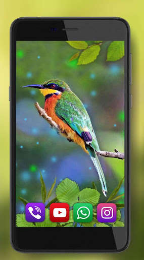 Run android online APK Forest Birds Live Wallpaper from MyAndroid or emulate Forest Birds Live Wallpaper using MyAndroid Run android online APK Forest Birds Live Wallpaper from MyAndroid or emulate Forest Birds Live Wallpaper using MyAndroid